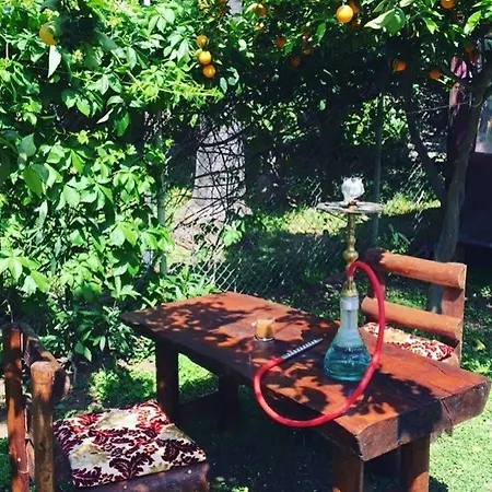 Guest house Alican 3*
