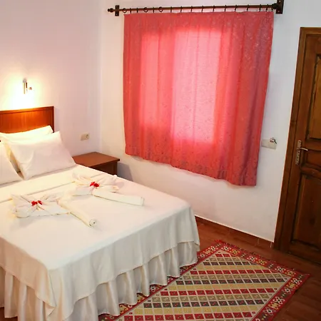 Guest house Alican 3*