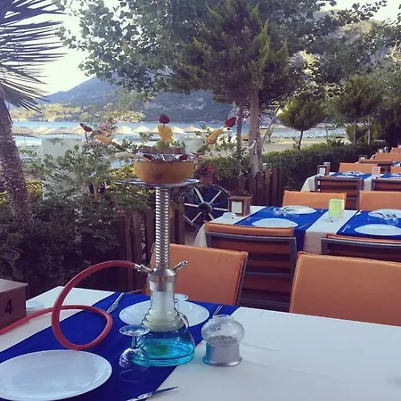 Alican 3*
