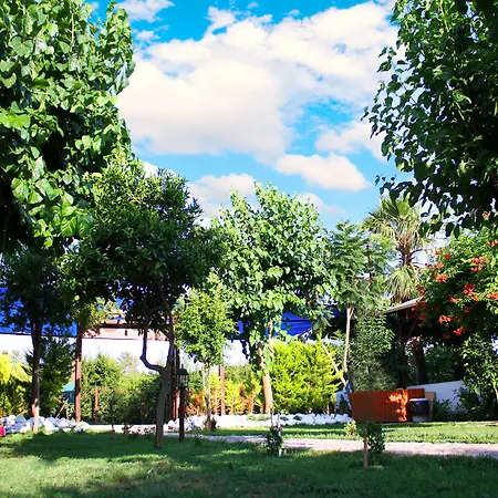 Guest house Alican 3*