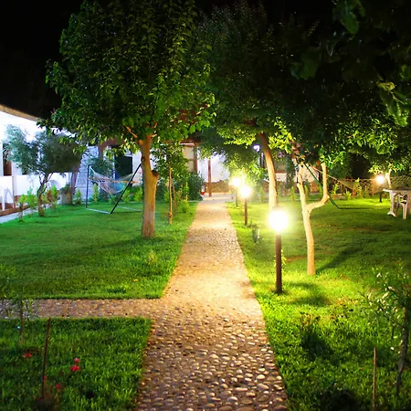 Alican 3*