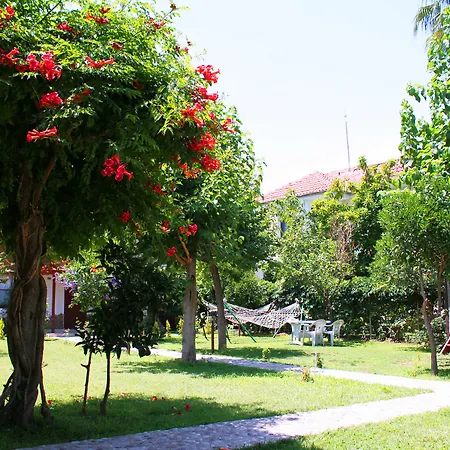Alican Guest house 3*